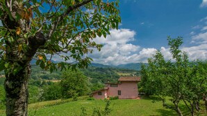 Una casa rústica con tejado de baldosas, rodeada de abundante vegetación y un cielo despejado.
