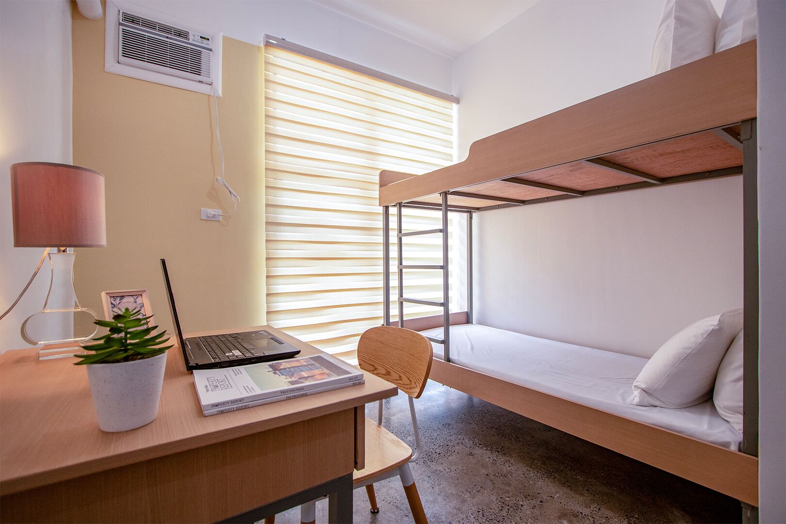 Habitación con literas, un escritorio, una computadora portátil y una planta en maceta.