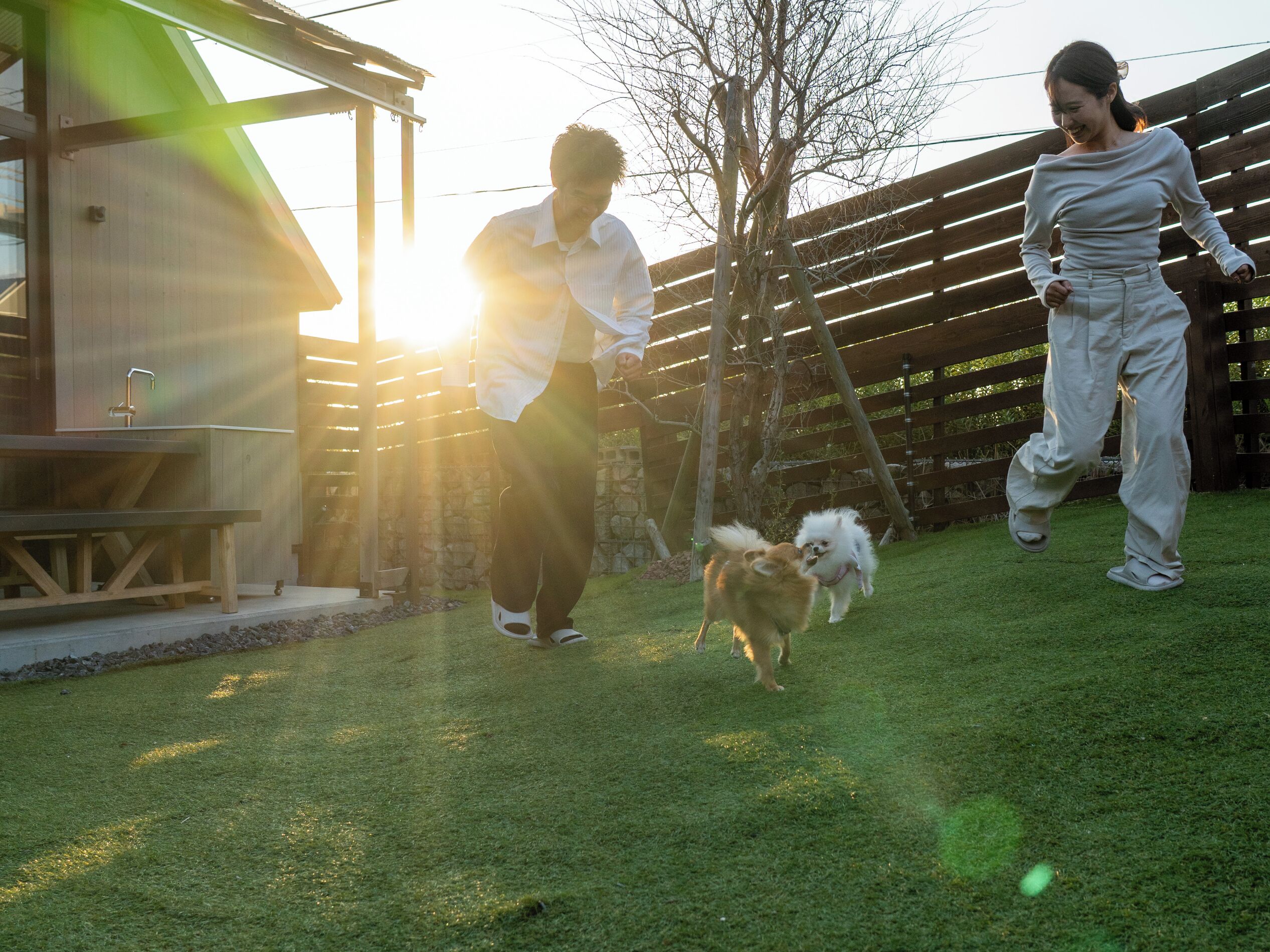 Standard with dogrun, Non Smoking | In-room safe, free WiFi, bed sheets