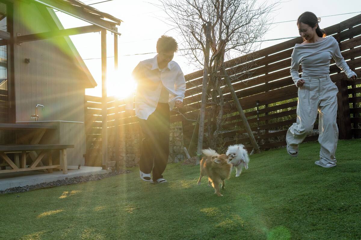 Standard with DOG | In-room safe, free WiFi, bed sheets