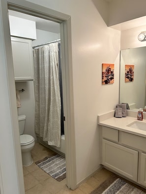 Hair dryer, towels, soap, toilet paper