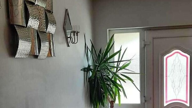 Une pièce avec une grande plante en pot, un miroir fixé au mur et une porte ornée d’un panneau de verre décoratif.