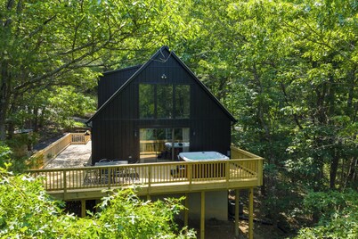 Welcome to The Basye Swan