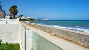 A coastal view with a concrete barrier, a palm tree, and buildings in the background.