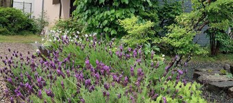 Enjoy life in Tajima Limited to one group per day / Toyoka Hyōgo