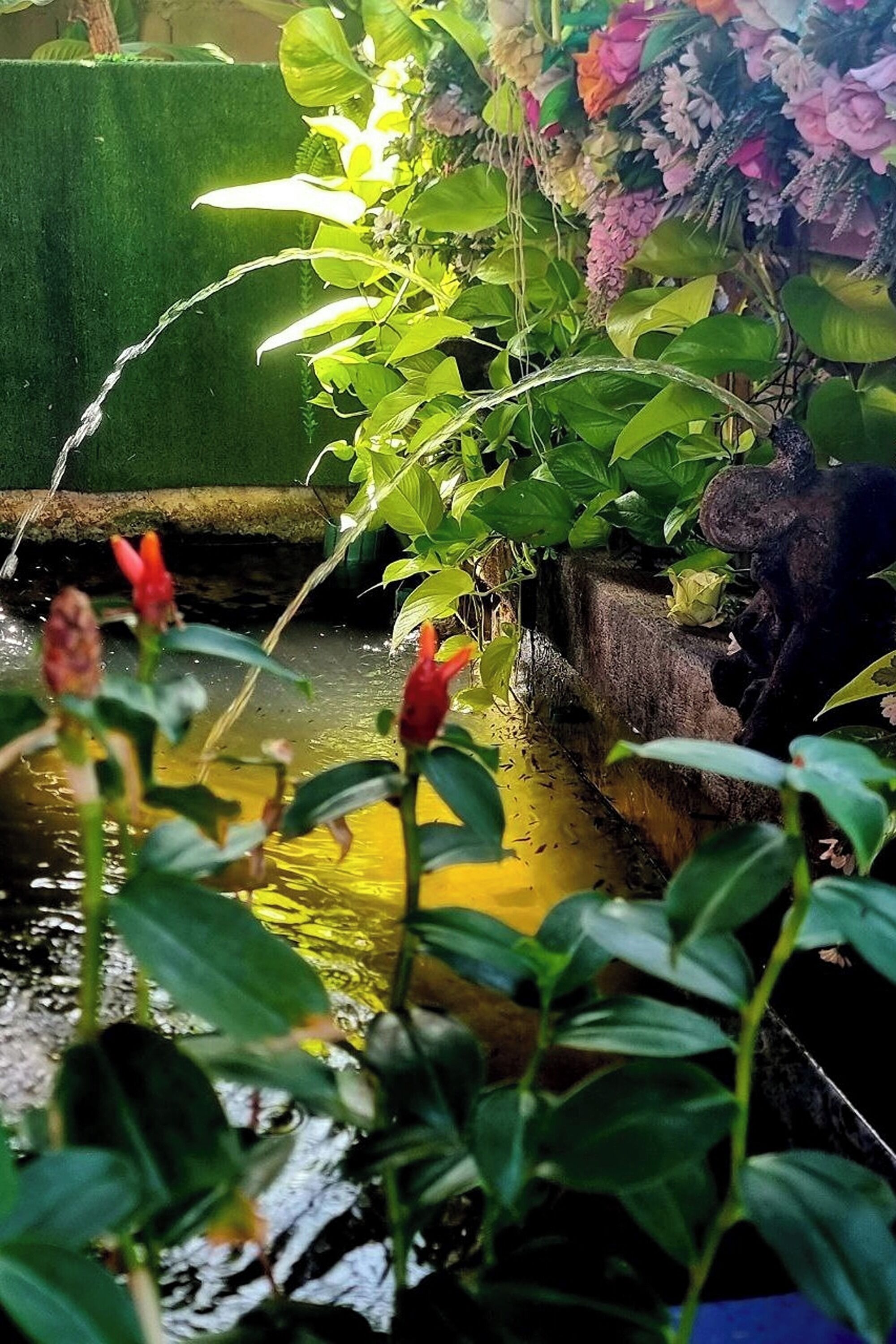 A garden with a water feature, including a small pond and a fountain.