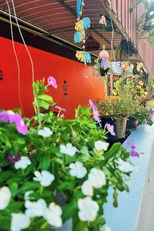 Garden. Chat House Chiang Rai