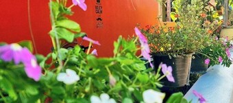 Chat House Chiang Rai