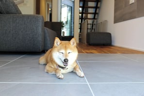 Sisätilat