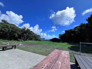 Terras