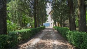 Un chemin de gravier bordé de haies soigneusement taillées et de grands arbres, qui mène à un bâtiment à la façade de couleur claire.
