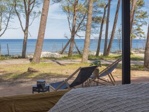 House | View from property