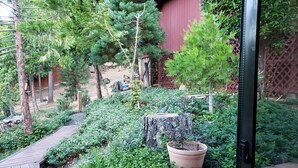 Une vue d’un jardin avec une terrasse en bois, un tronc d’arbre et une plante en pot.
