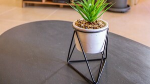 Una sala de estar con una mesa redonda negra, una planta pequeña en maceta, un televisor y una planta grande en maceta.