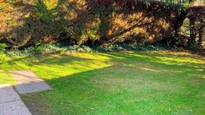 Un espacio cubierto de césped con un camino pavimentado y una estructura metálica.