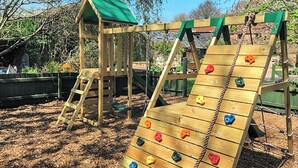 Eine hölzerne Kletterkonstruktion mit einer Leiter und einem Spielhäuschen mit Gründach in einem bewaldeten Gebiet.