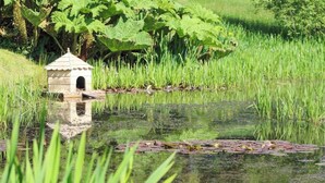 Een klein, rustiek vogelhuisje in een weelderig groen veld met een vijver.