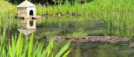 Overnatningsstedets område