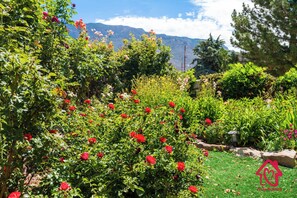 Un jardin avec des roses rouges et un feuillage verdoyant, un sentier de pierres et une montagne en arrière-plan.