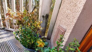 A wooden deck with potted plants and flowers. - The Bothy -  a cottage that sleeps 4 guests  in 2 bedrooms (Lumphanan)