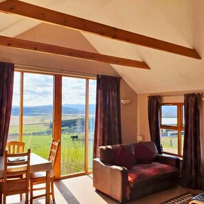 Fernseher, Kamin, DVD-Player