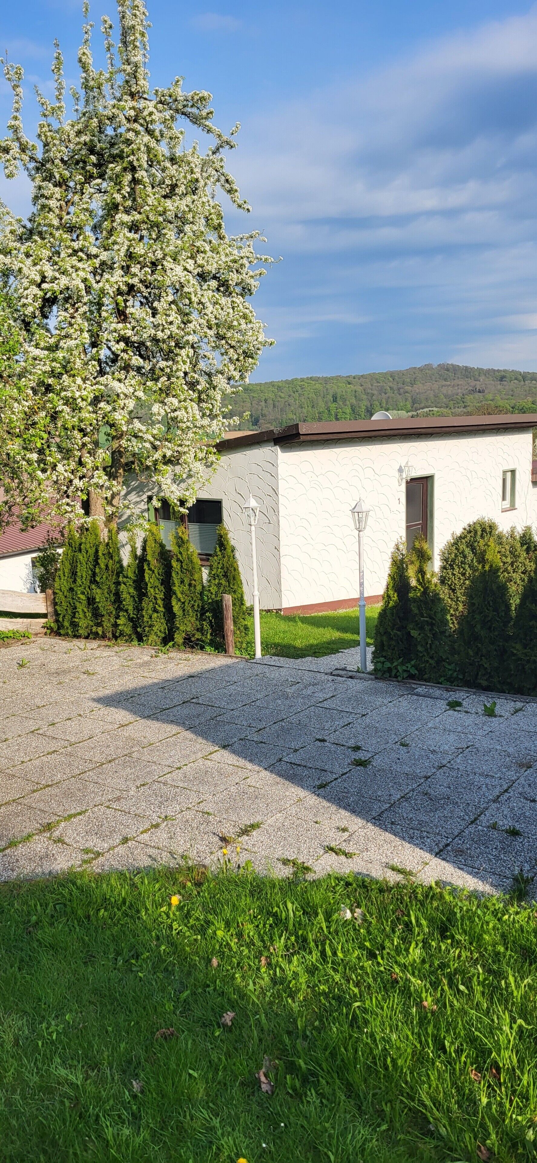 A building with a gravel driveway, a tree with white blossoms, and a clear sky.