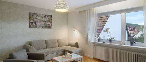 Fernseher, DVD-Player