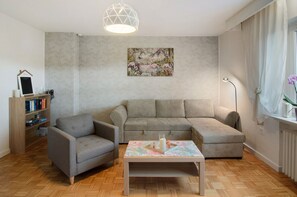 电视、DVD 播放器