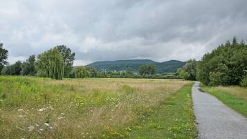 A rural road with a grassy field and trees on either side.