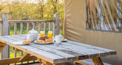 Swallow at Sweffling Hall