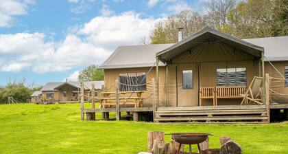 Swallow at Sweffling Hall