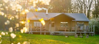 Dog Friendly safari tent, Swift at Sweffling Hall, Suffolk