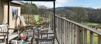 Snipe at Bleasdale, Lancashire
