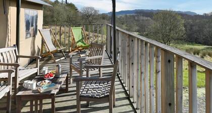 Snipe at Bleasdale, Lancashire