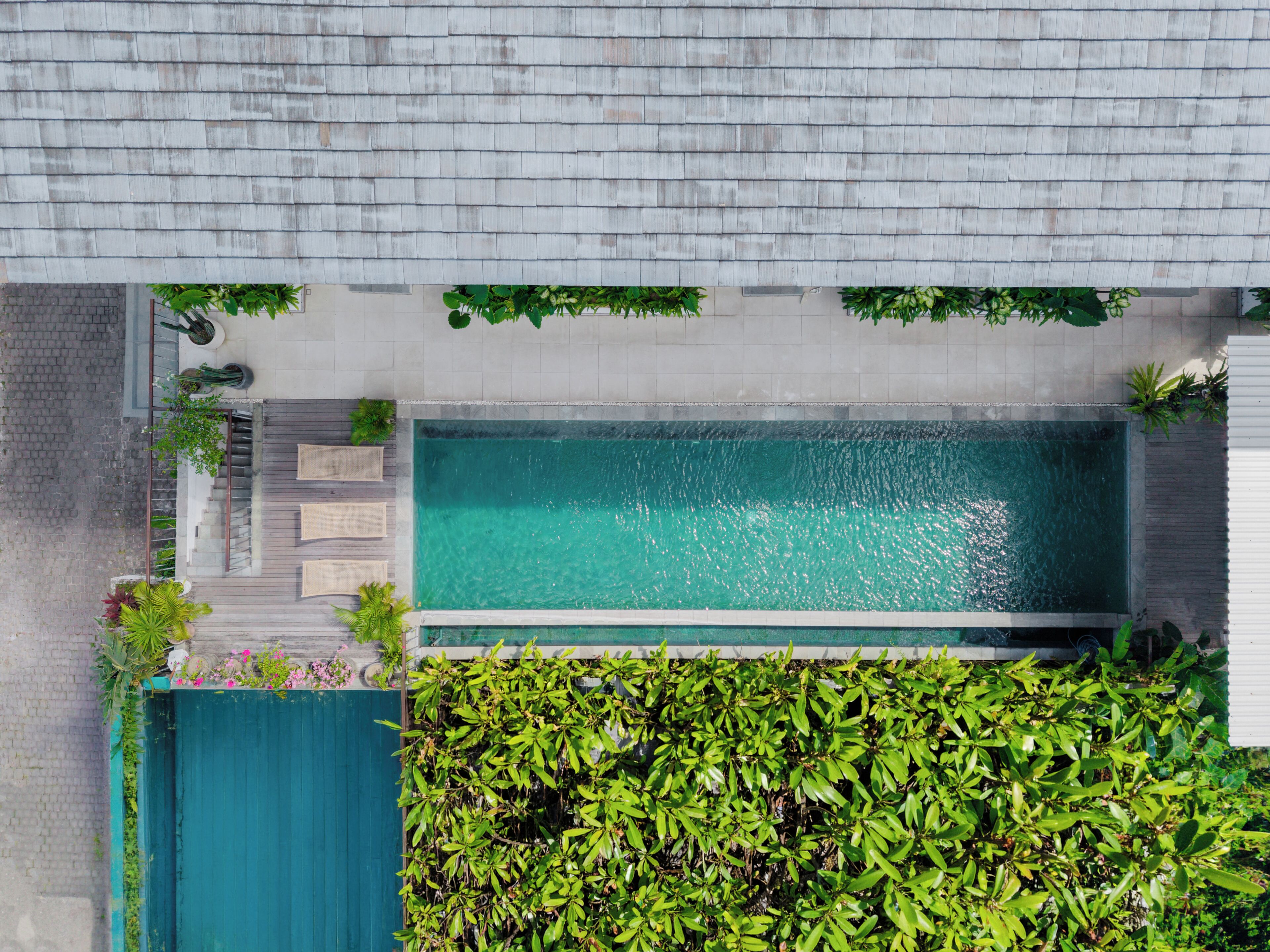 Piscina en la azotea con vistas despejadas al cielo, rodeada de vegetación y una estructura de edificio moderna.