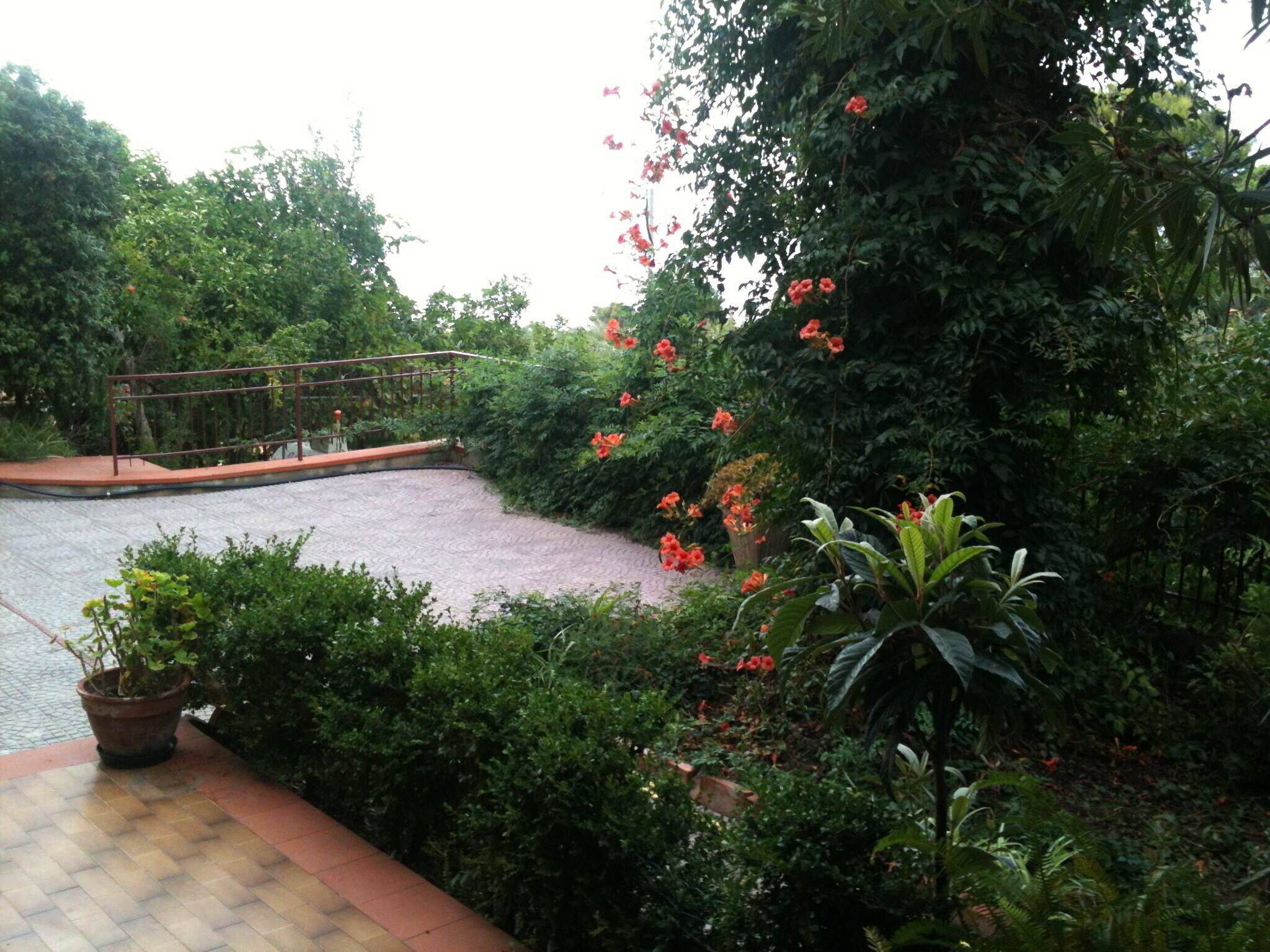 Ein Garten mit gepflastertem Weg, dichtem Grün und einer kleinen Brücke.