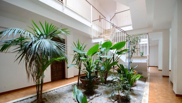 Apartment | Garden