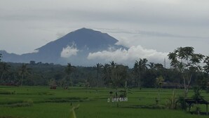 A landscape with a mountain in the distance, surrounded by green fields and palm trees. - Rumah Kemuning Bali (Bali)