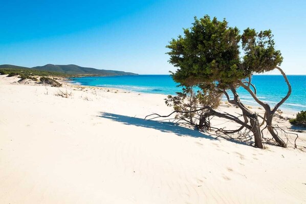 Spiaggia