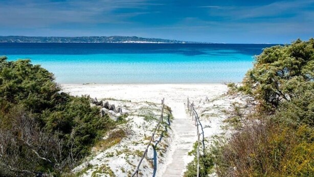 Une plage avec un chemin dégagé menant à l’eau, entourée de verdure.