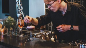 Un bar avec un barman préparant des boissons, une plante suspendue et un luminaire moderne.