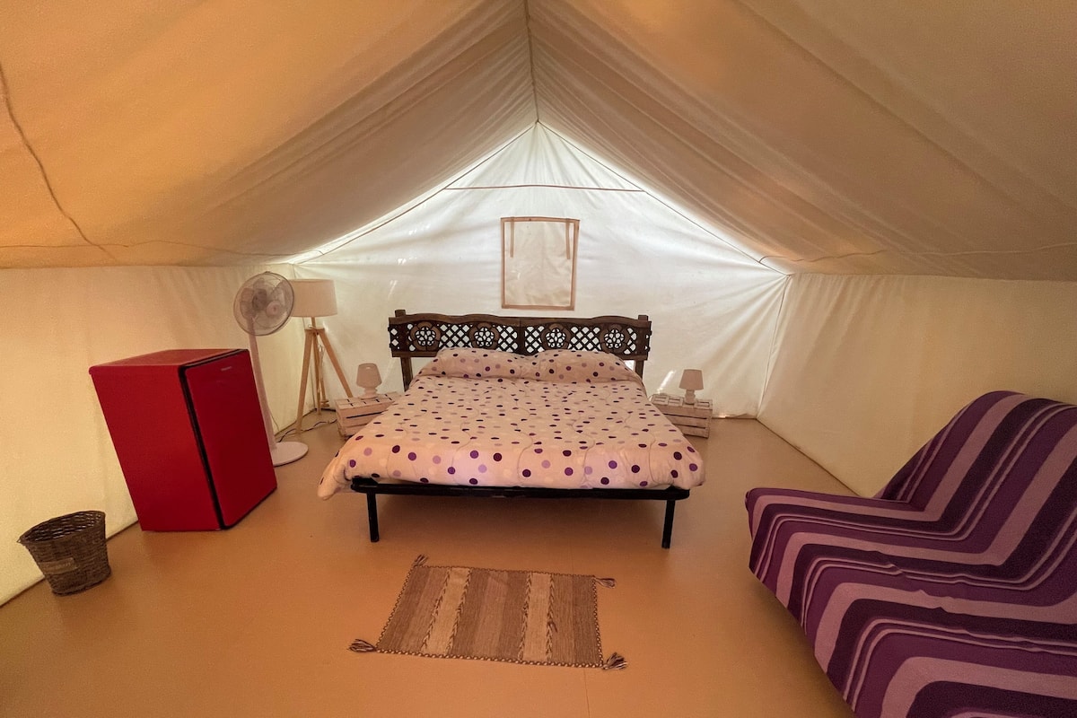 Una habitación con tienda de campaña, una cama, un armario rojo, una lámpara de pie y un sofá color púrpura a rayas.