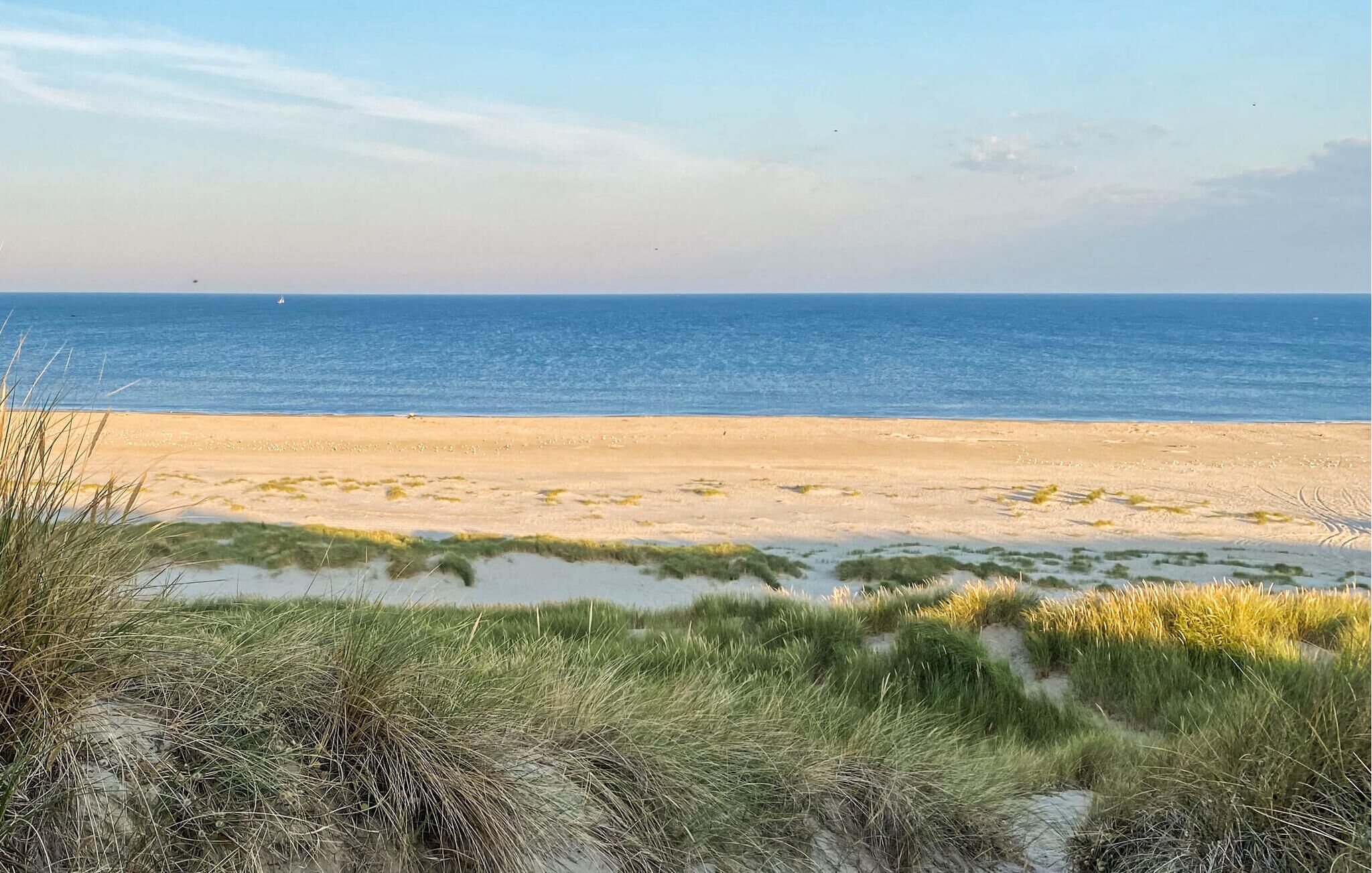 Tæt på stranden, fiskeri