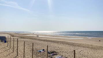 Playa en los alrededores y pesca