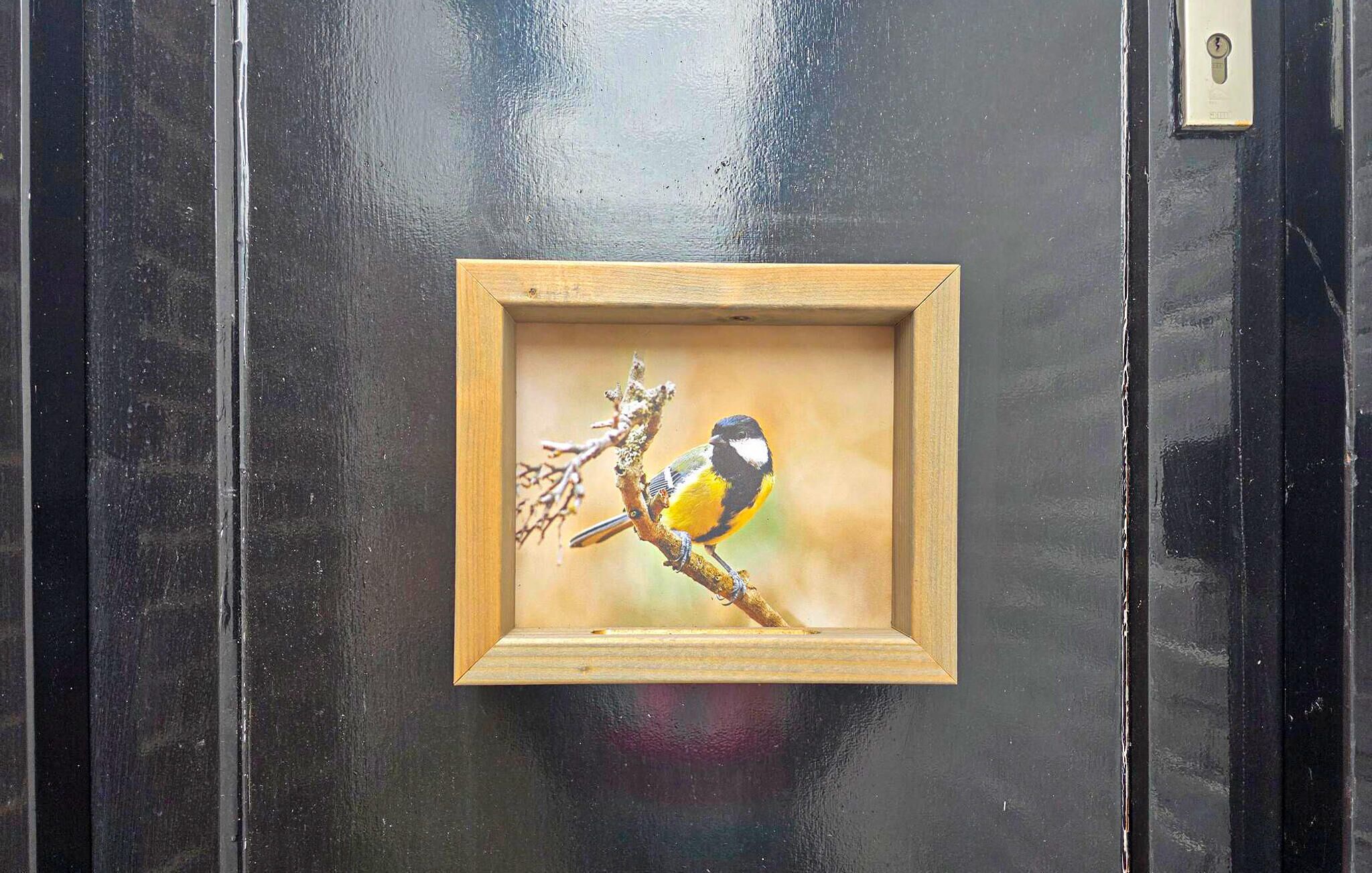 Una obra de arte enmarco muestra un pájaro en una rama, colocada sobre una puerta.