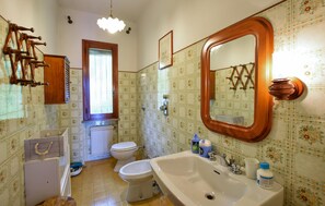 Shower, hair dryer
