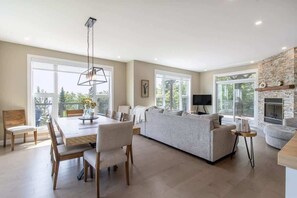 TV, fireplace, video games, books