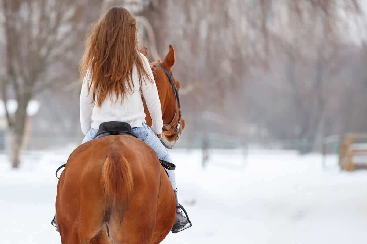 Une personne à cheval dans un paysage enneigé.