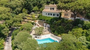 Une villa dotée d’une piscine, entourée d’une végétation luxuriante et accessible par un chemin pavé.