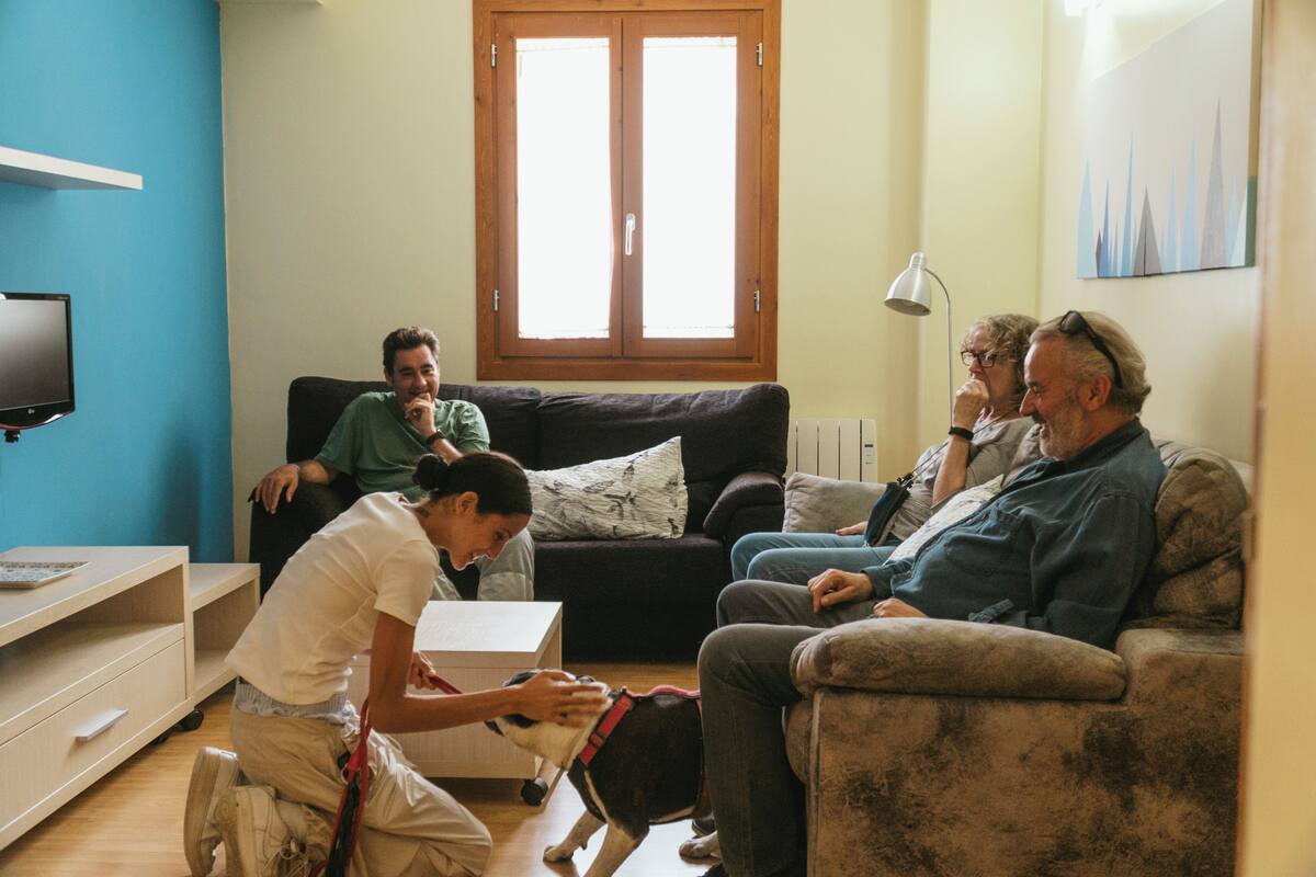 A living room with a sofa, a television, and a window.